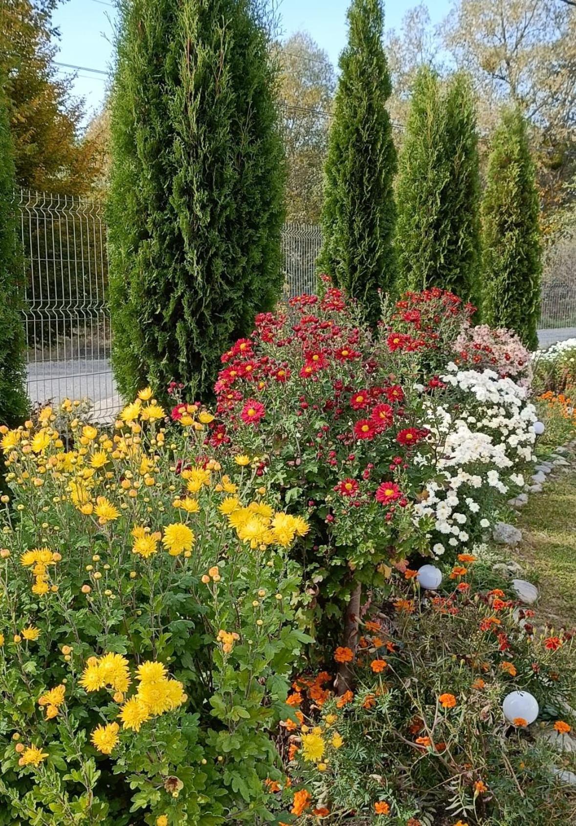 פורומבקו דה סוס Vila Eivissa מראה חיצוני תמונה
